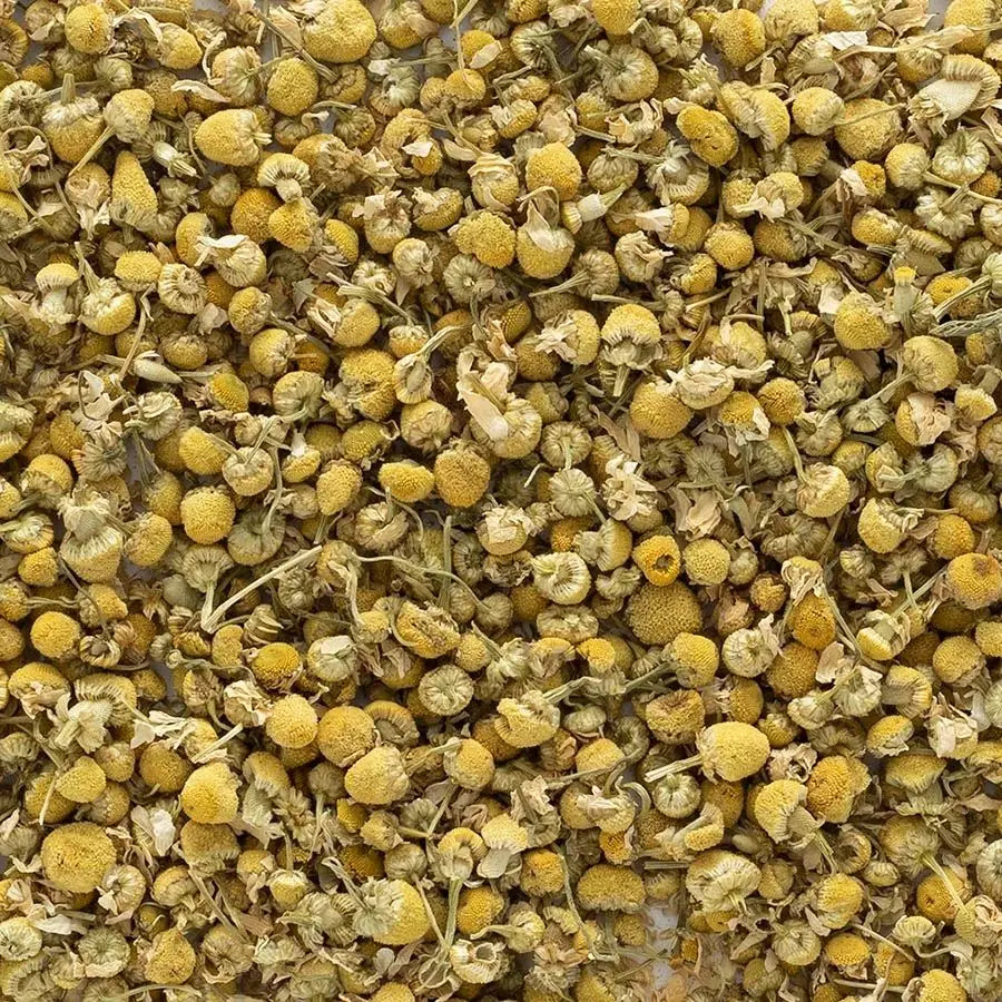 Organic German Chamomile (Matricaria recutita) Tea