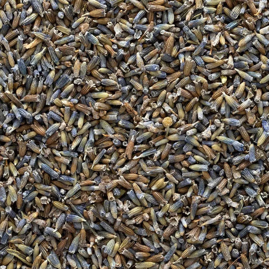 Organic Lavender Flower (Lavandula x intermedia) Super Grade