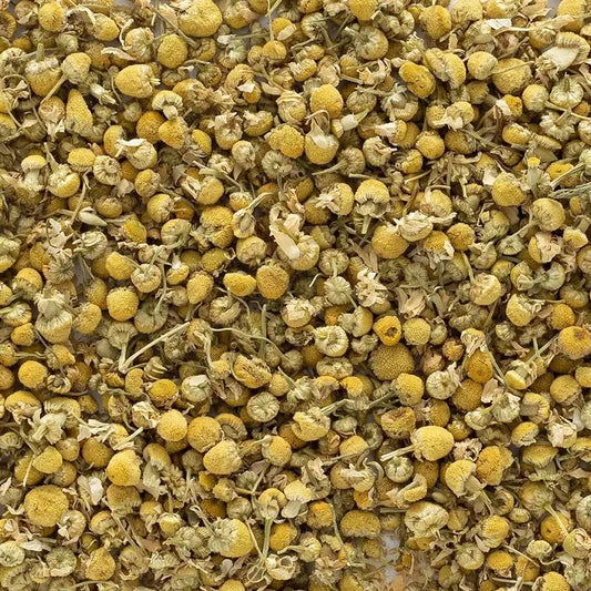 Organic German Chamomile (Matricaria recutita)
